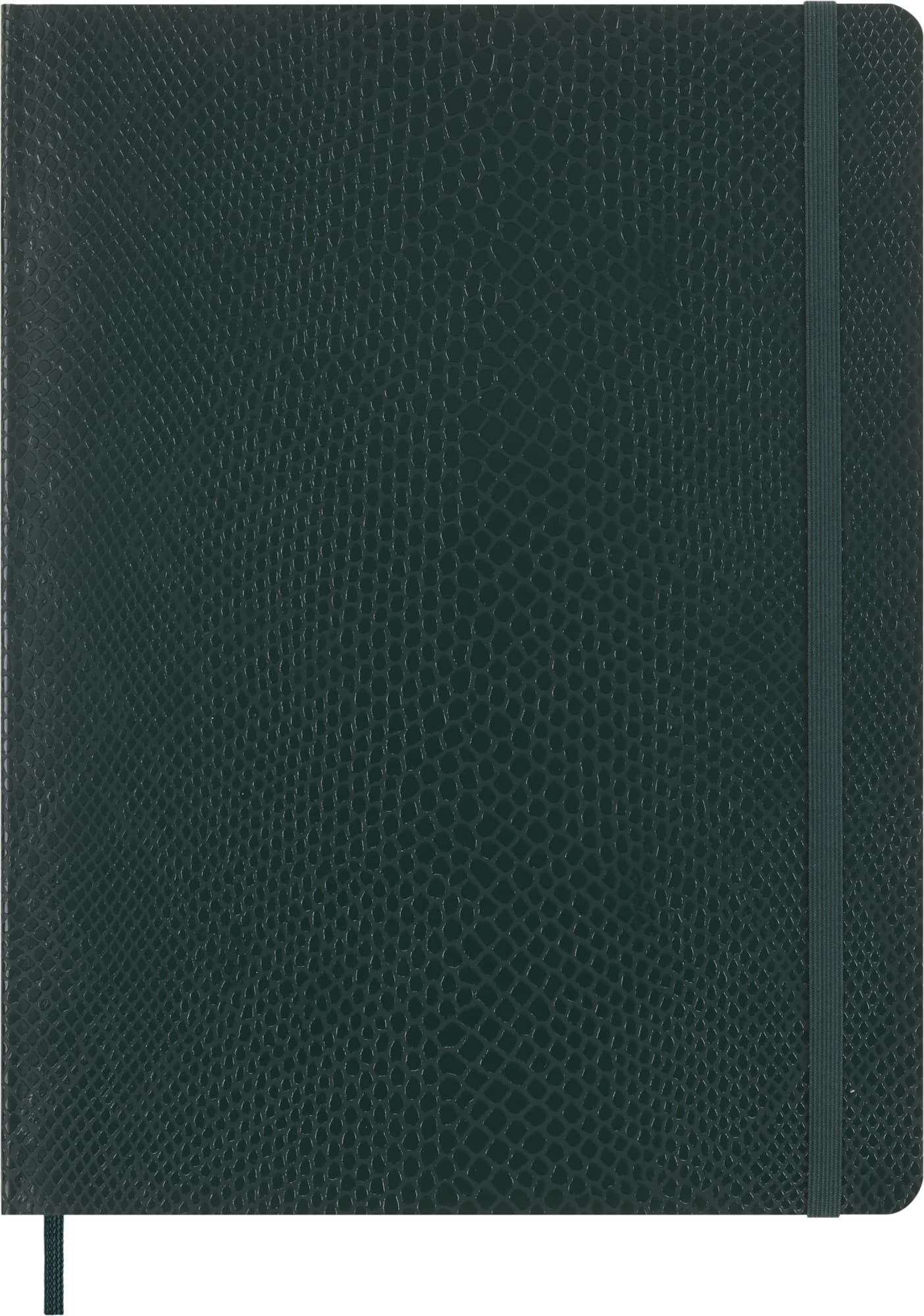 Блокнот Moleskine LE PRECIOUS & ETHICAL XLarge 176стр. линейка мягкая обложка экокожа (питон) зеленый подарочная коробка